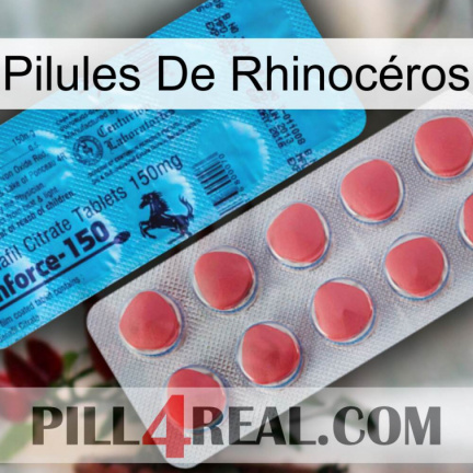 Pilules De Rhinocéros new14